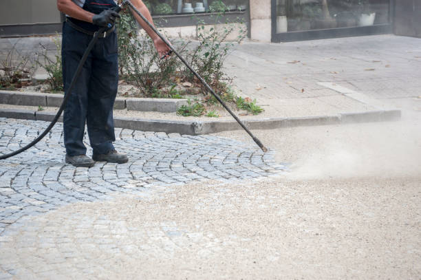 Best Sidewalk and Walkway Cleaning  in Homestead Valley, CA