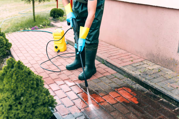Best Solar Panel Cleaning  in Homestead Valley, CA