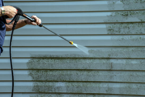 Best House Exterior Washing  in Homestead Valley, CA