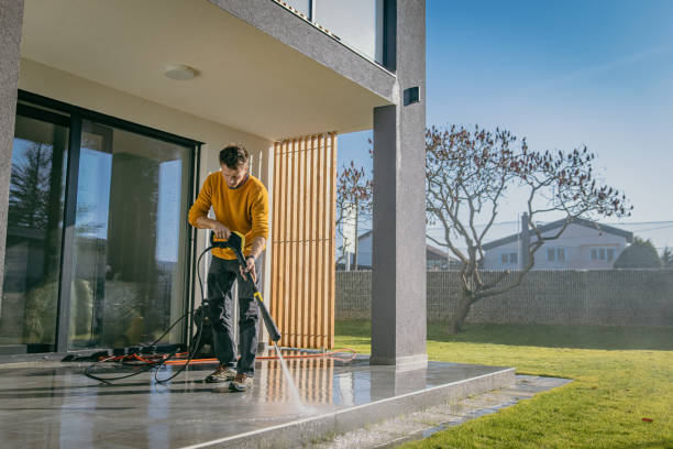 Best Building Exterior Washing  in Homestead Valley, CA